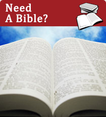 Need A Bible?